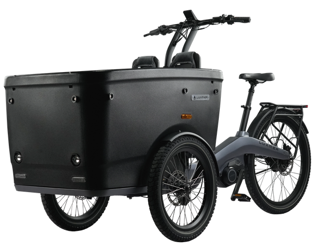 Triciclo el&eacute;ctrico de tres ruedas para adultos, nueva moda de lujo para que el pasajero la lleve