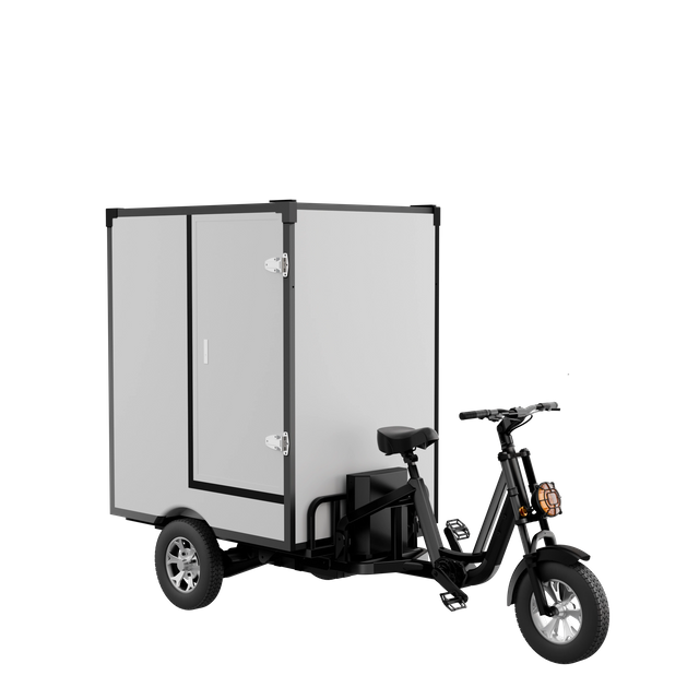 Nova chegada de triciclo pesado T350 para passeios urbanos