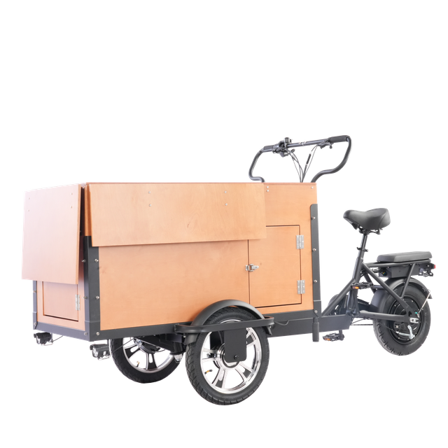 Carga de triciclo inteligente e impermeable dise&ntilde;ada para andar en la ciudad